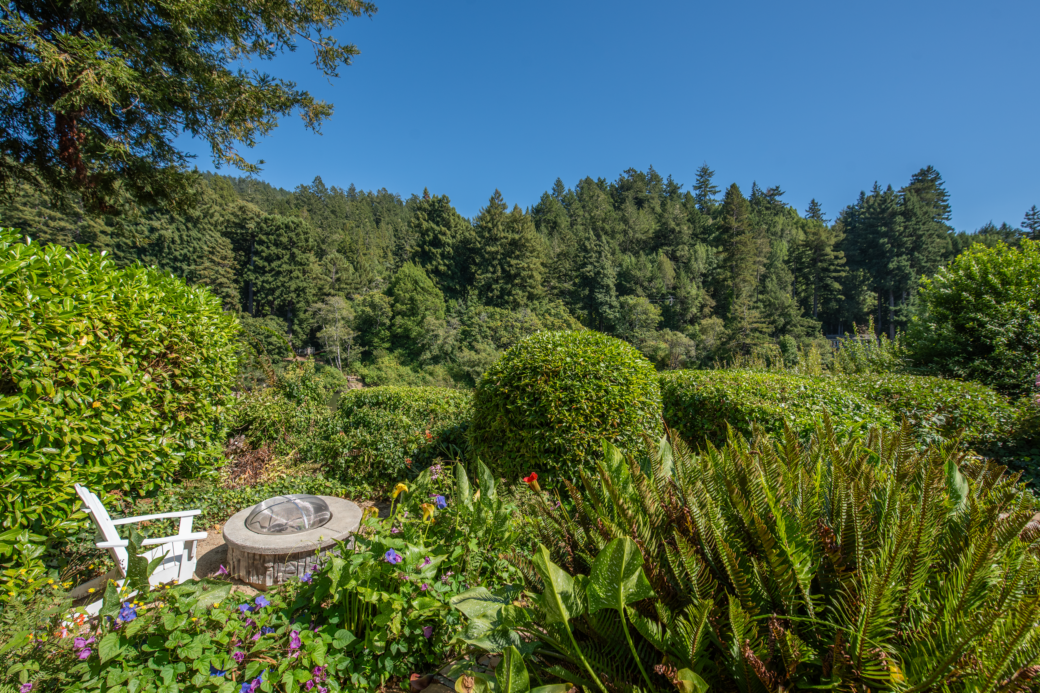 22753 Sylvan Way Monte Rio, CA 95462 - Photo 11 of 31 Gallery Image 11