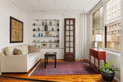 a living room with furniture and a potted plant