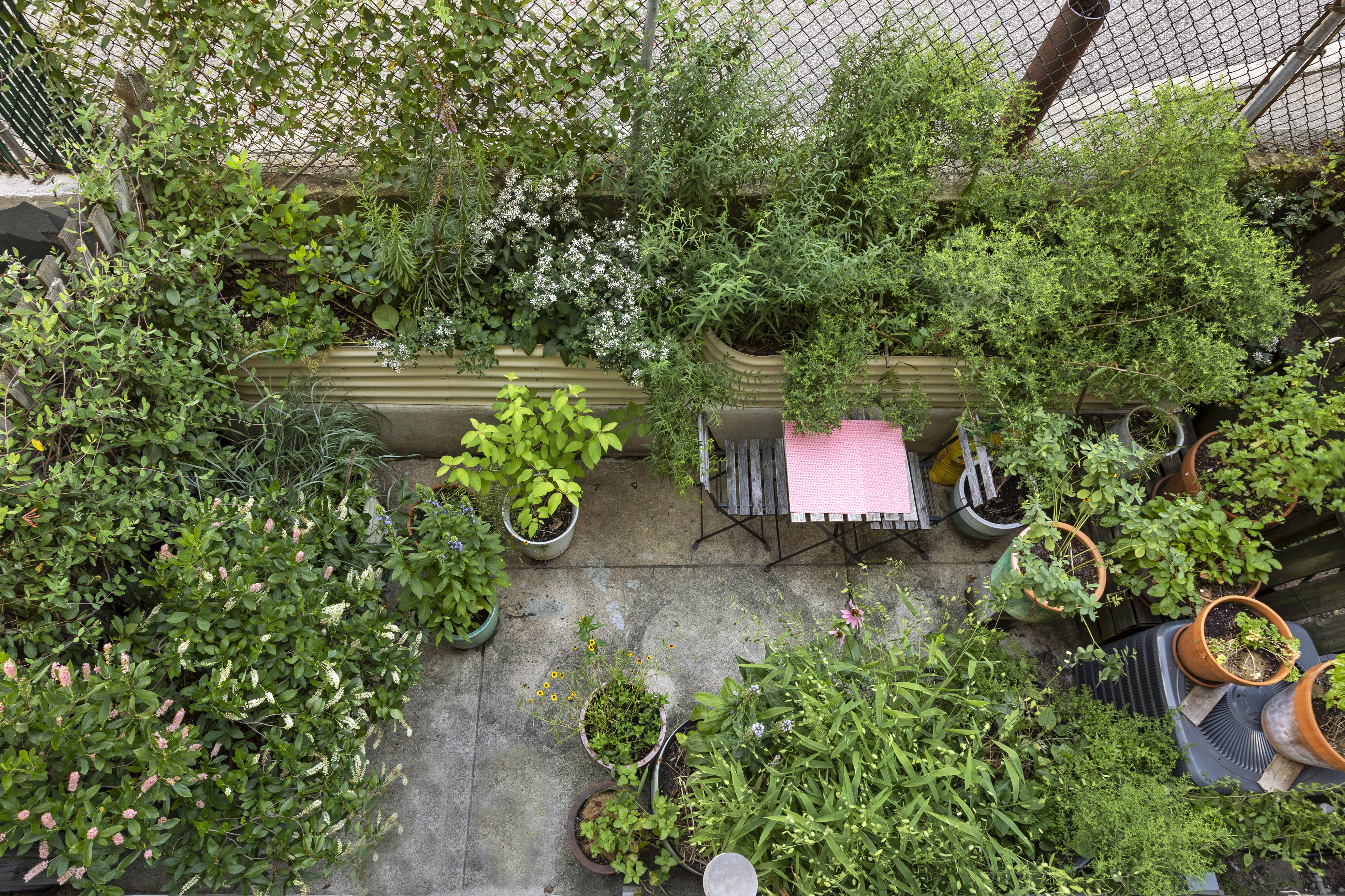 329 Grand Avenue, Unit B Brooklyn, NY 11238 - Photo 8 of 9 a backyard of a house with lots of green space and trees