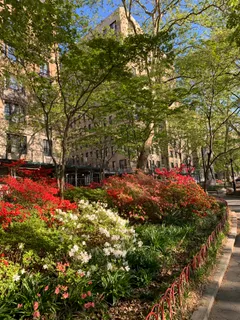 a view of outdoor space and yard