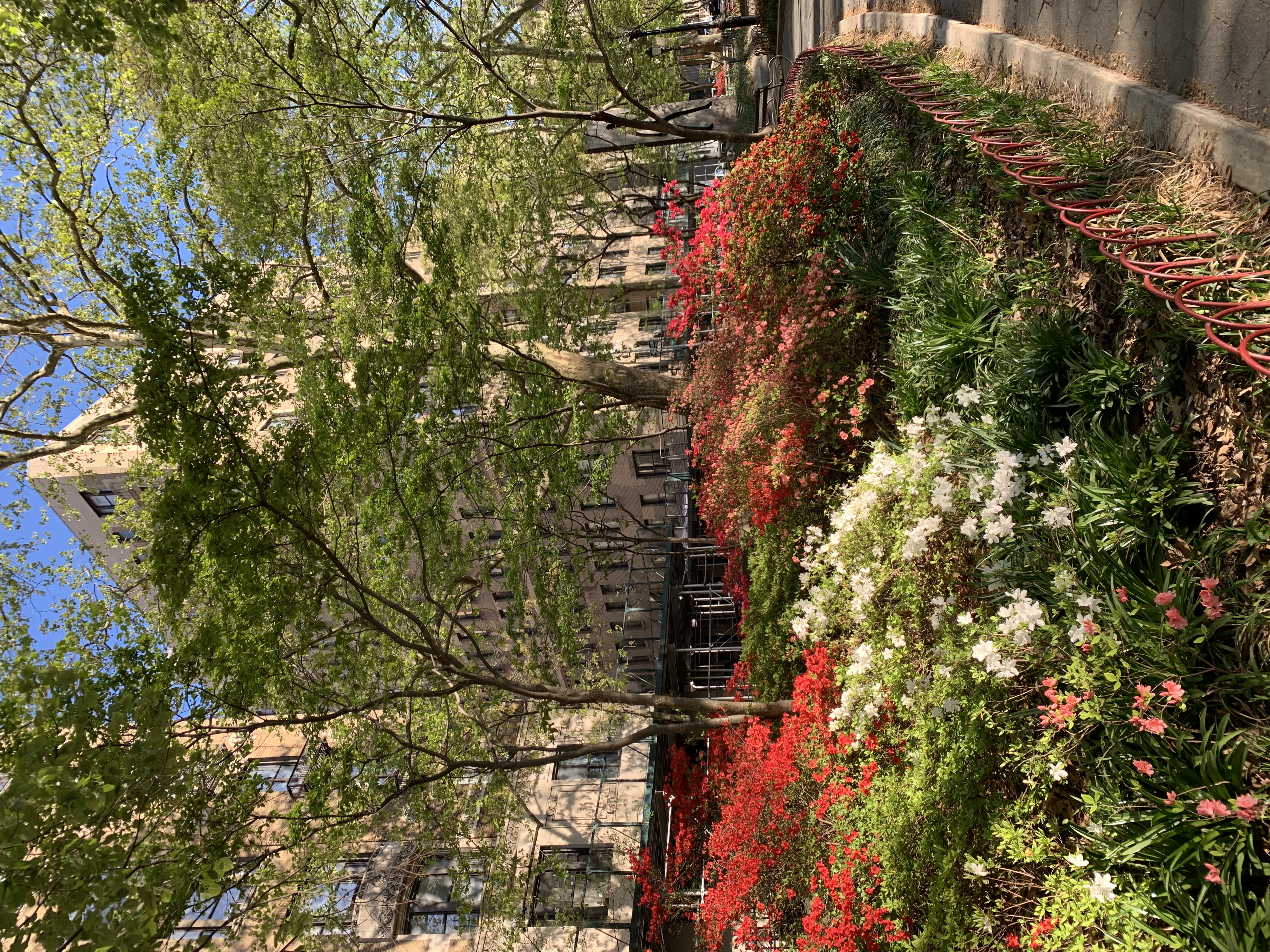 725 Riverside Drive, Unit 4D Manhattan, NY 10031 - Photo 12 of 18 a view of outdoor space and yard