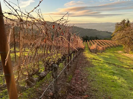 $1,795,000 | 31920 Pine Mountain Road, Cloverdale, CA 95425