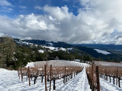 $1,795,000 | 31920 Pine Mountain Road, Cloverdale, CA 95425