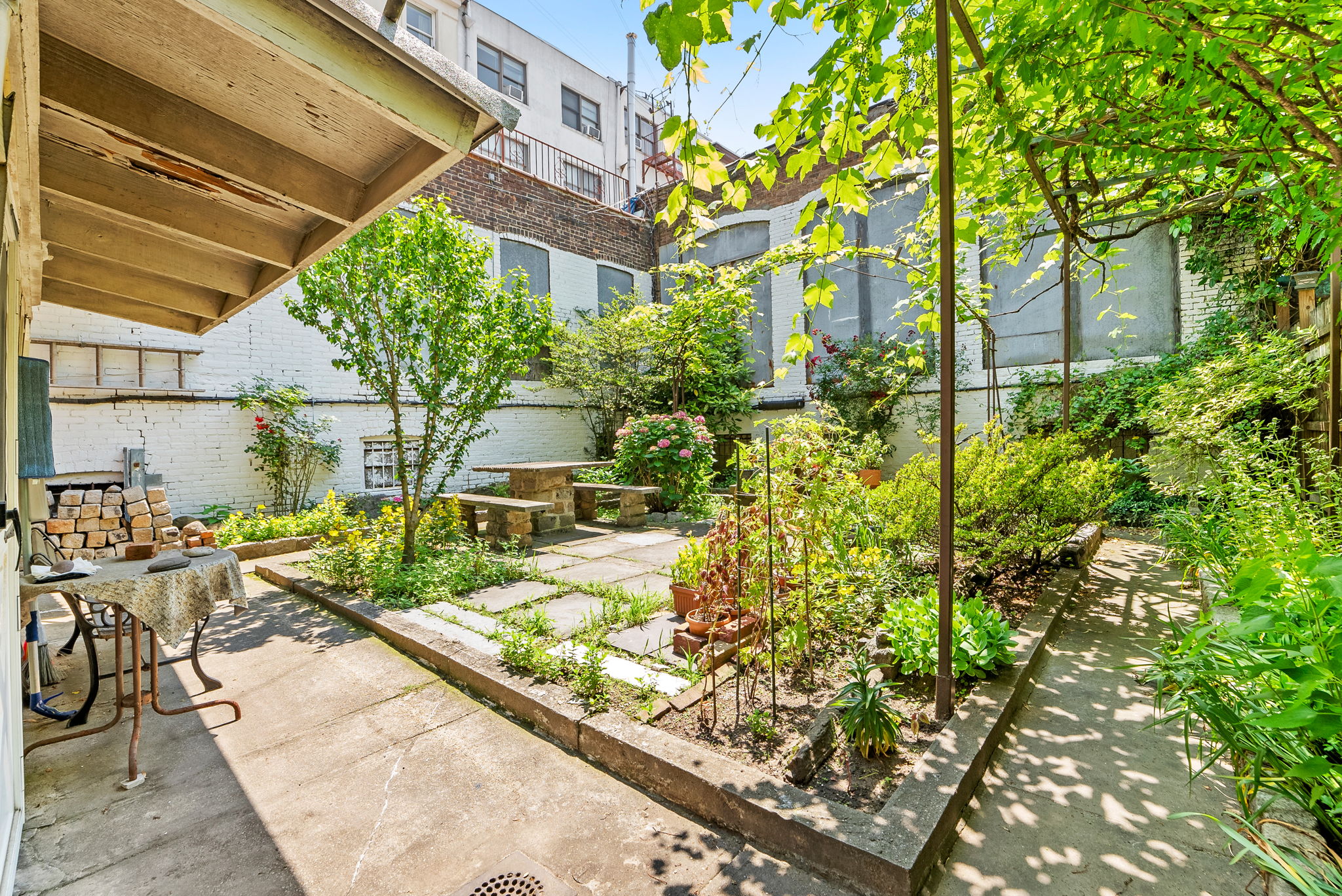 a view of a yard with plants