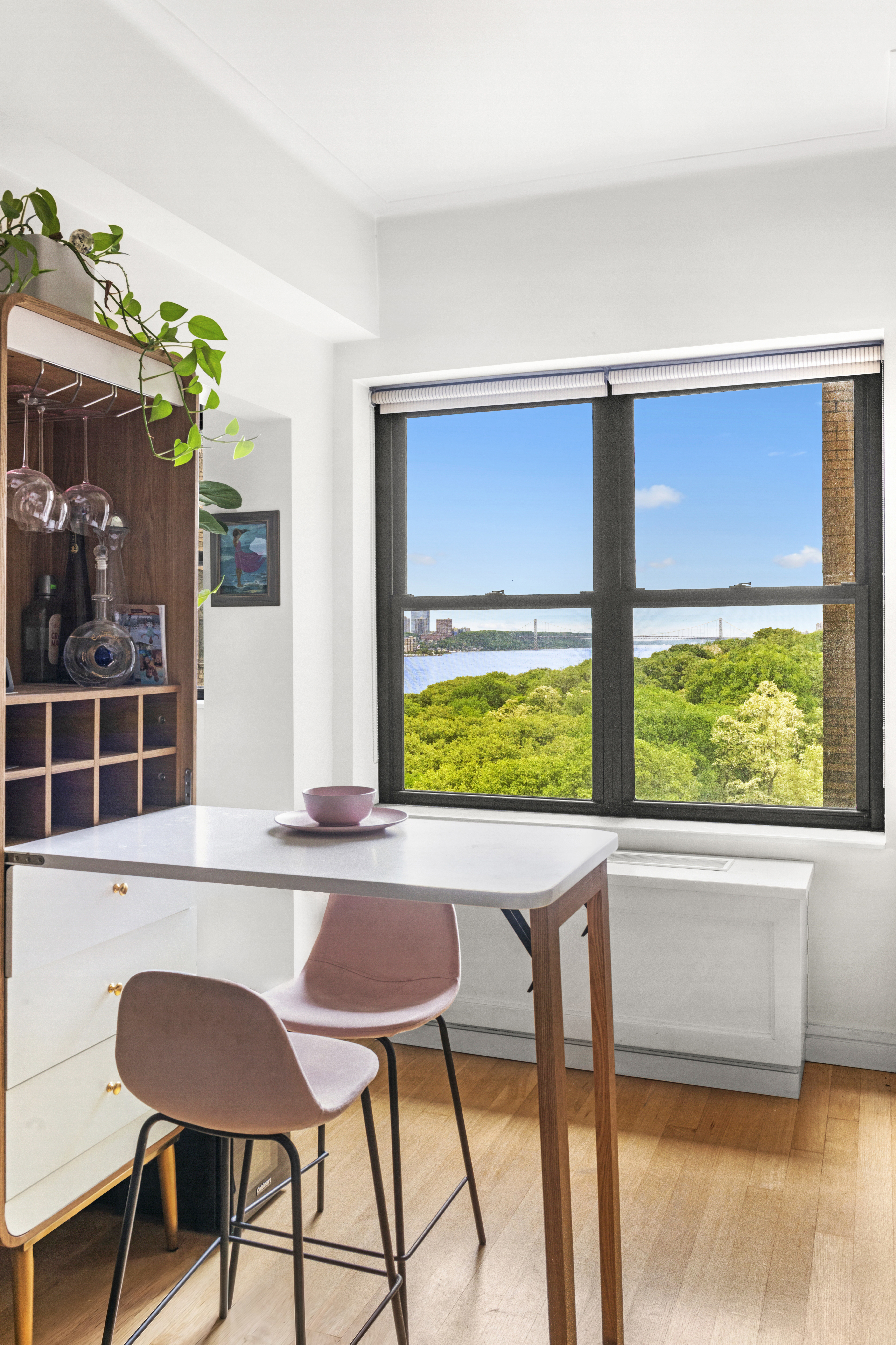 230 Riverside Drive, Unit 12J Manhattan, NY 10025 - Photo 2 of 14