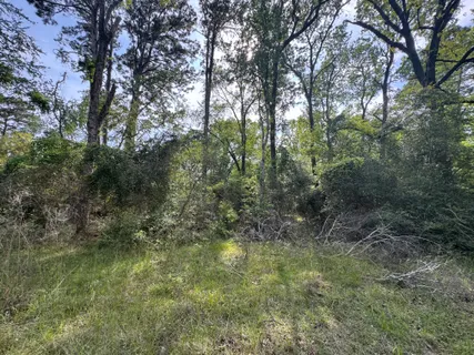 $15,000 | 20 Lake Forest Drive, Livingston, TX 77351