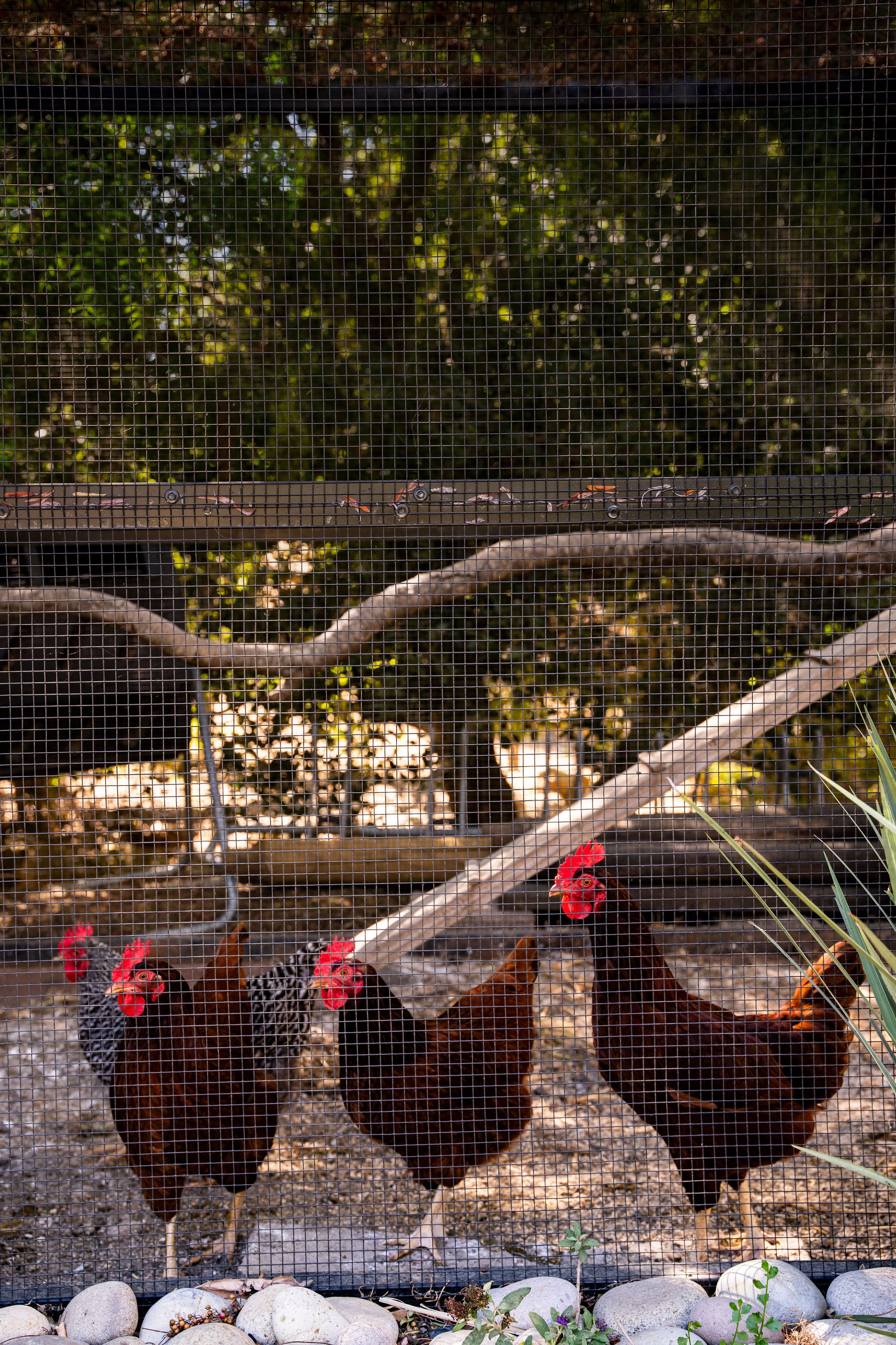 560 Cold Canyon Road Calabasas, CA 91302 - Photo 57 of 84