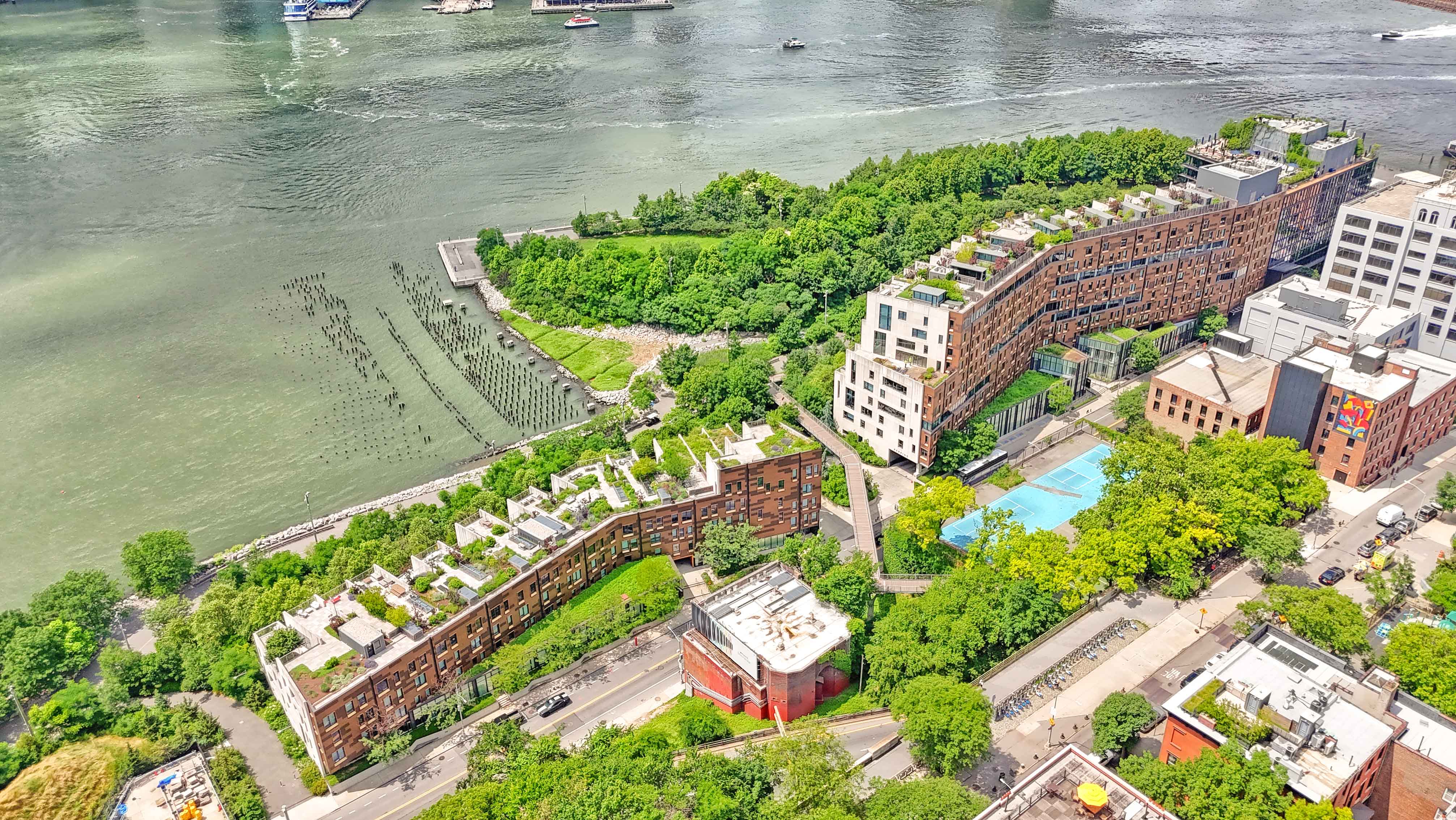 57 Montague Street, Unit 1D Brooklyn, NY 11201 - Photo 24 of 27 a view of a garden with flowers