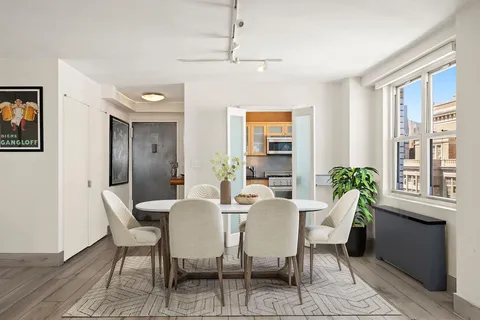 a view of a dining room with furniture and a potted plant