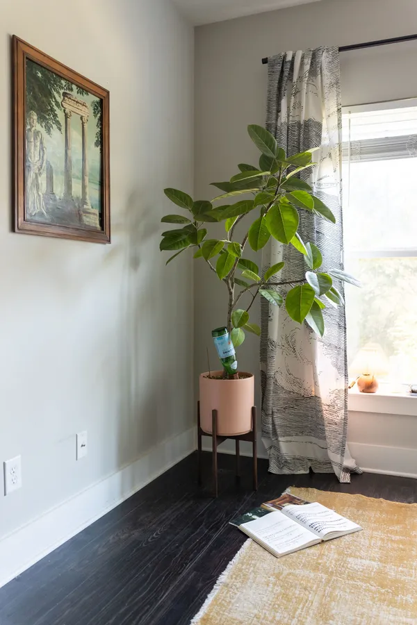 a vase of flowers sitting on a table