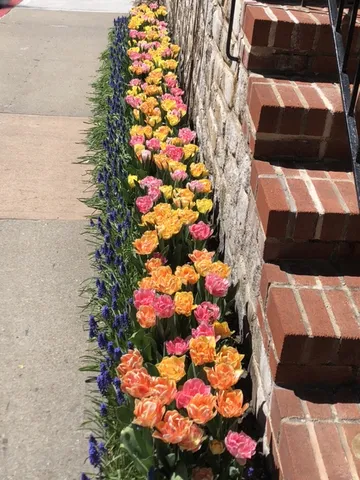a view of a pathway of a building with potted plants