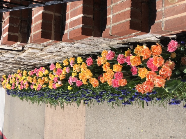 116 Pinehurst Avenue, Unit H32 Manhattan, NY 10033 - Photo 19 of 26