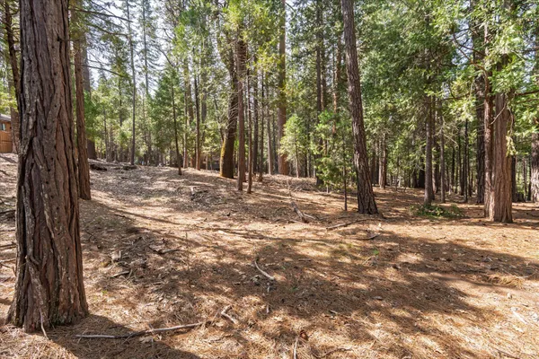 a view of outdoor space with trees
