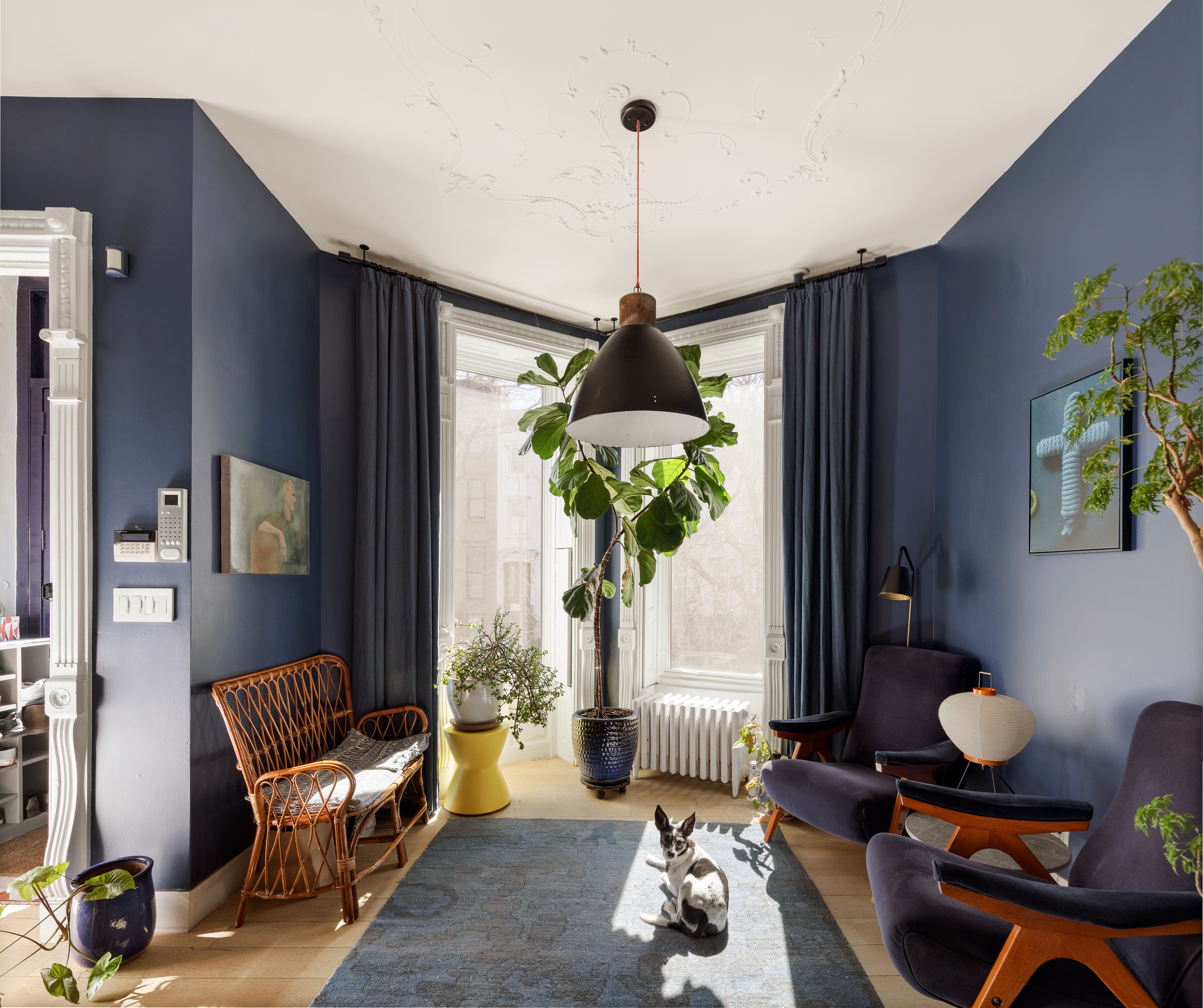 171 Garfield Place Brooklyn, NY 11215 - Photo 3 of 19 a living room with furniture and a potted plant