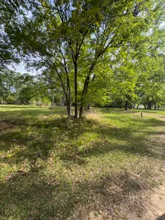 $15,000 | Lake Forest Drive, Livingston, TX 77351