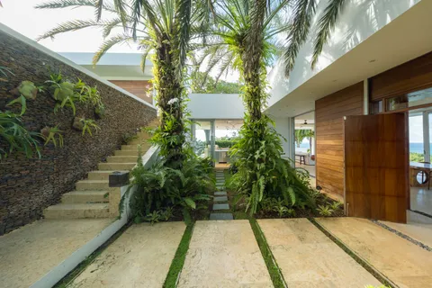 a plant that is in front of a door