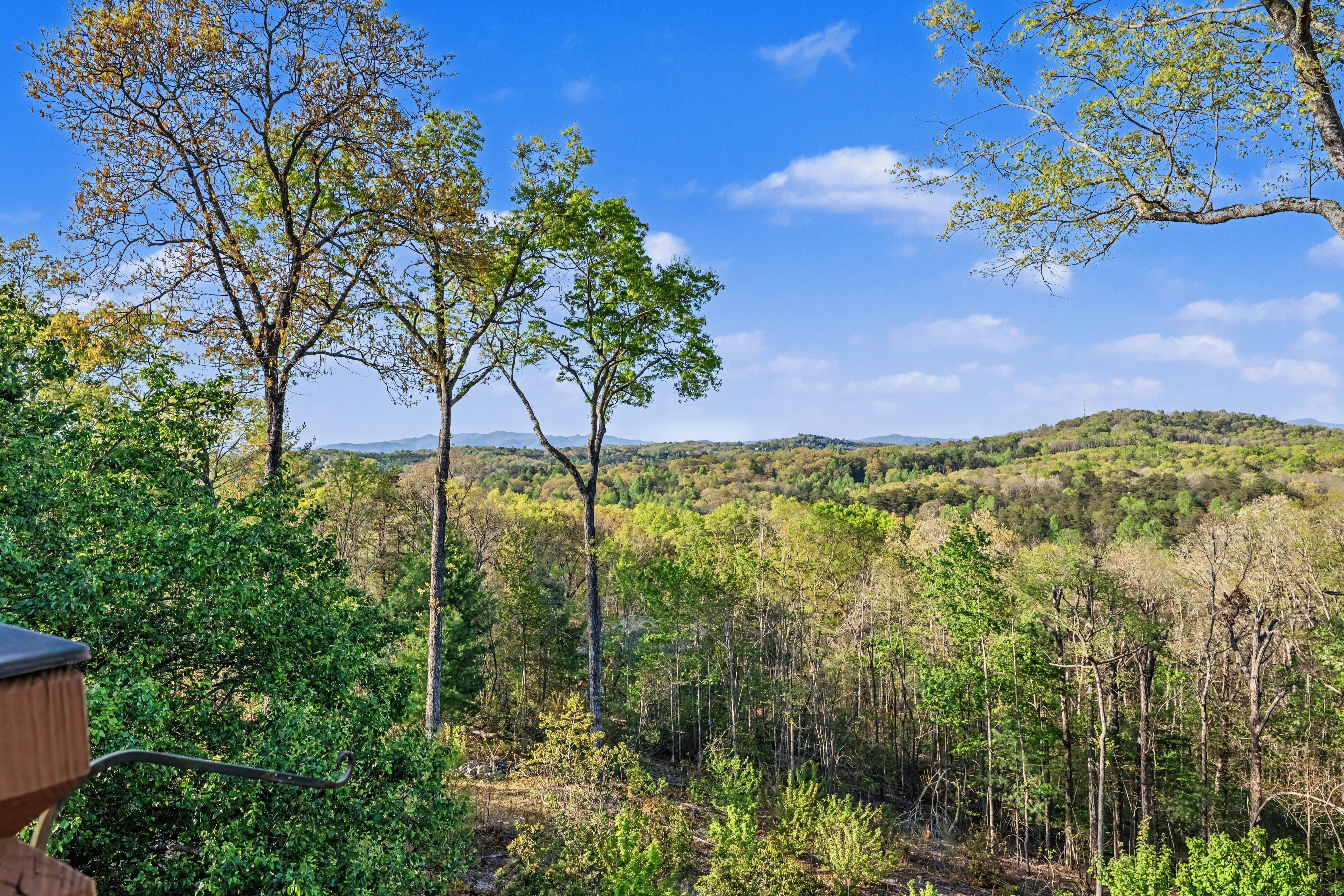 431 Sunrock Mountain Trace Blue Ridge, GA 30513 - Photo 3 of 4