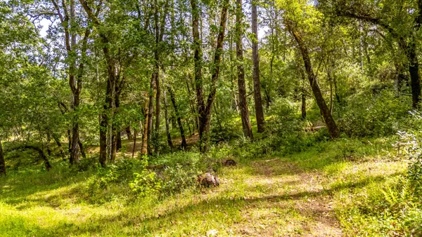 a view of a lush green hillside and a building