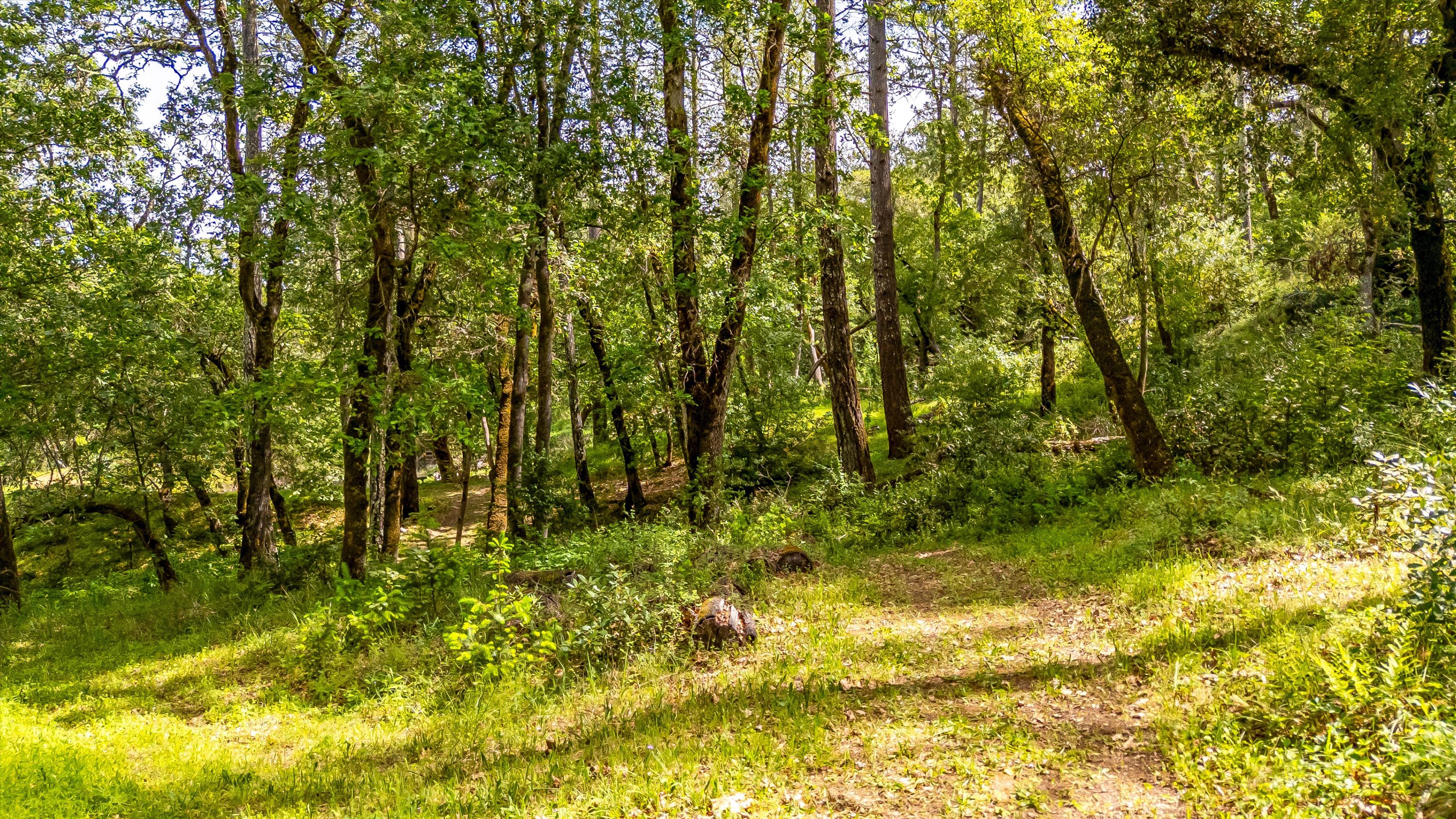 6435 Dry Creek Road Napa, CA 94558 - Photo 31 of 34