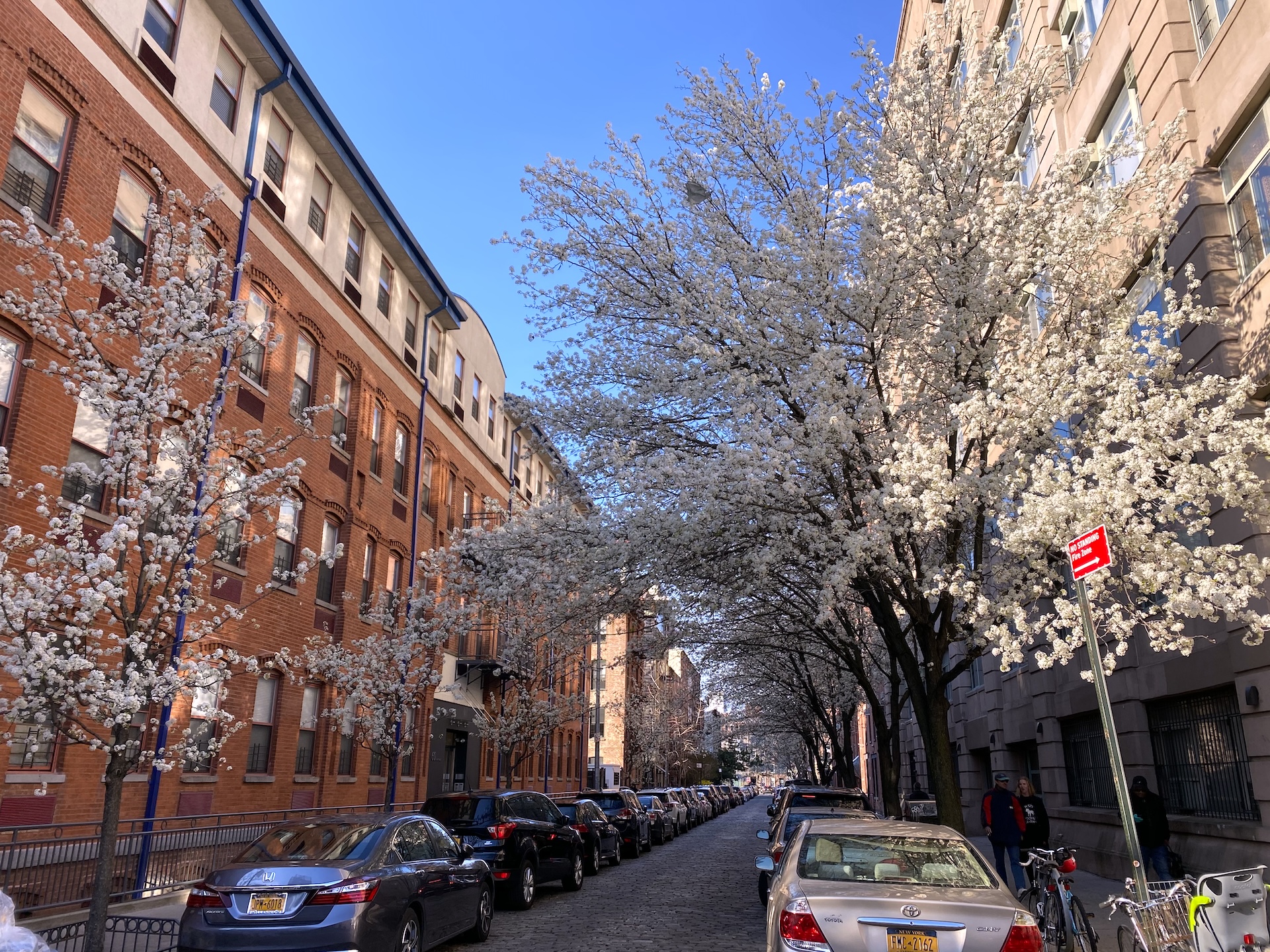 60 Tiffany Place, Unit 1A Brooklyn, NY 11231 - Photo 10 of 11 a front view of a building with trees