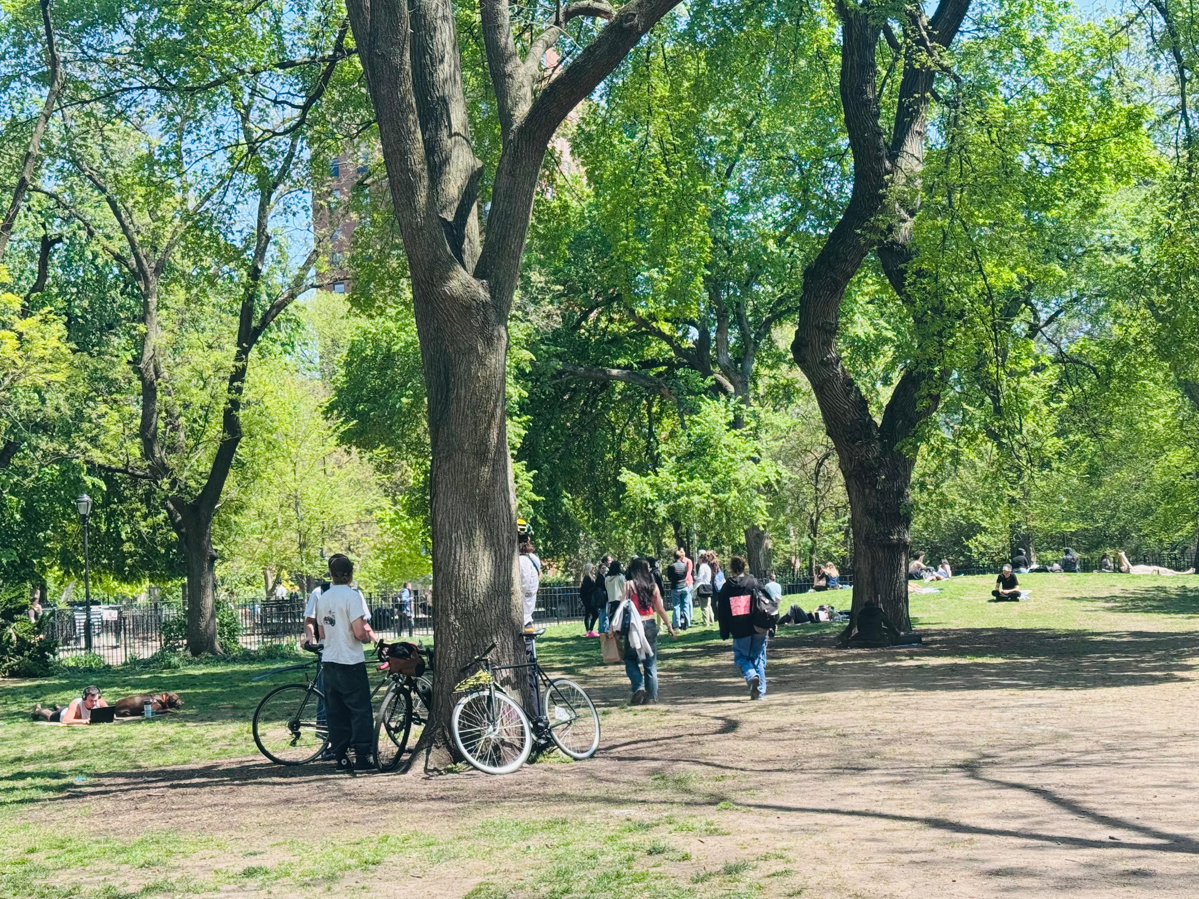 123 Avenue A, Unit 4 Manhattan, NY 10009 - Photo 13 of 14 a view of a park with bench and trees