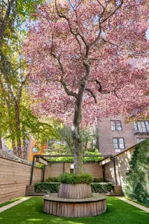 a view of a large yard