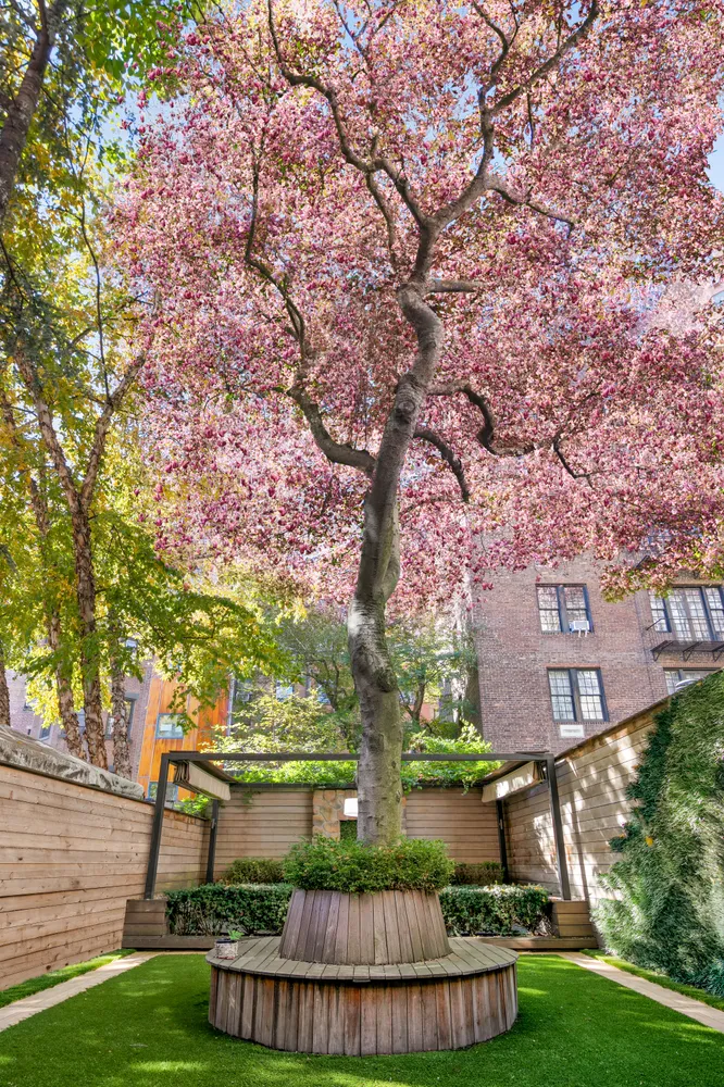 a view of a large yard