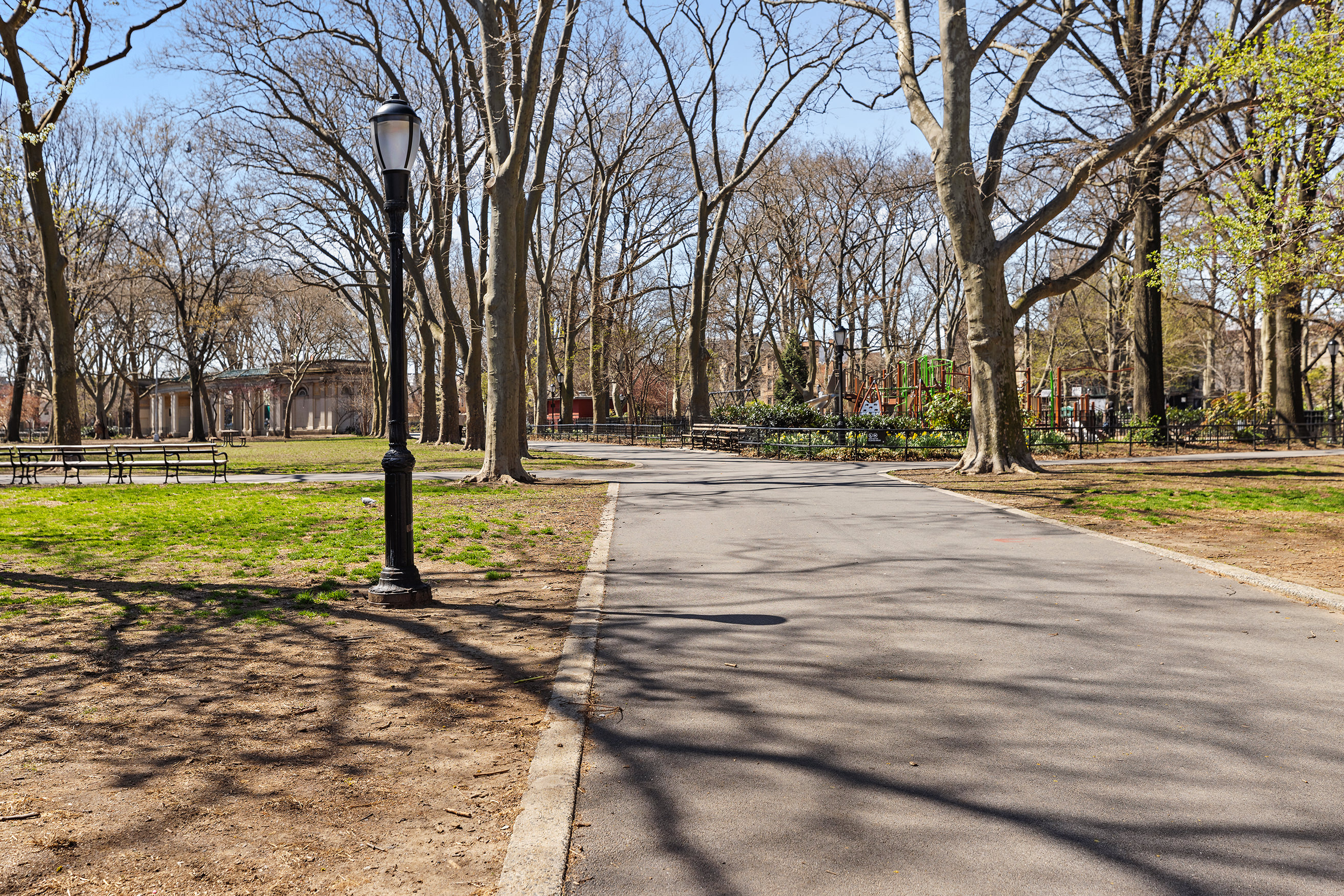 171 Monitor Street Brooklyn, NY 11222 - Photo 2 of 11 a view of a yard with trees