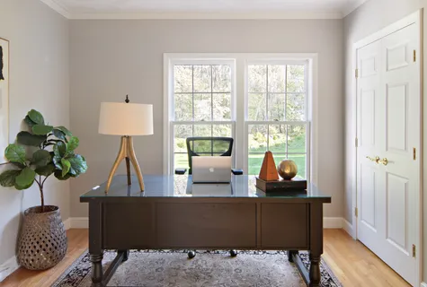 a living room with furniture and a potted plant