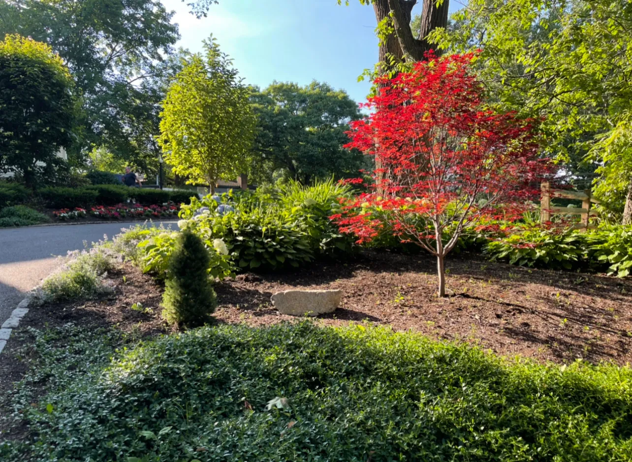 Contact Agent | 28 Tufts Road, Lexington, MA 02421