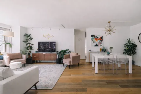 a living room with furniture or wooden floor and a potted plant