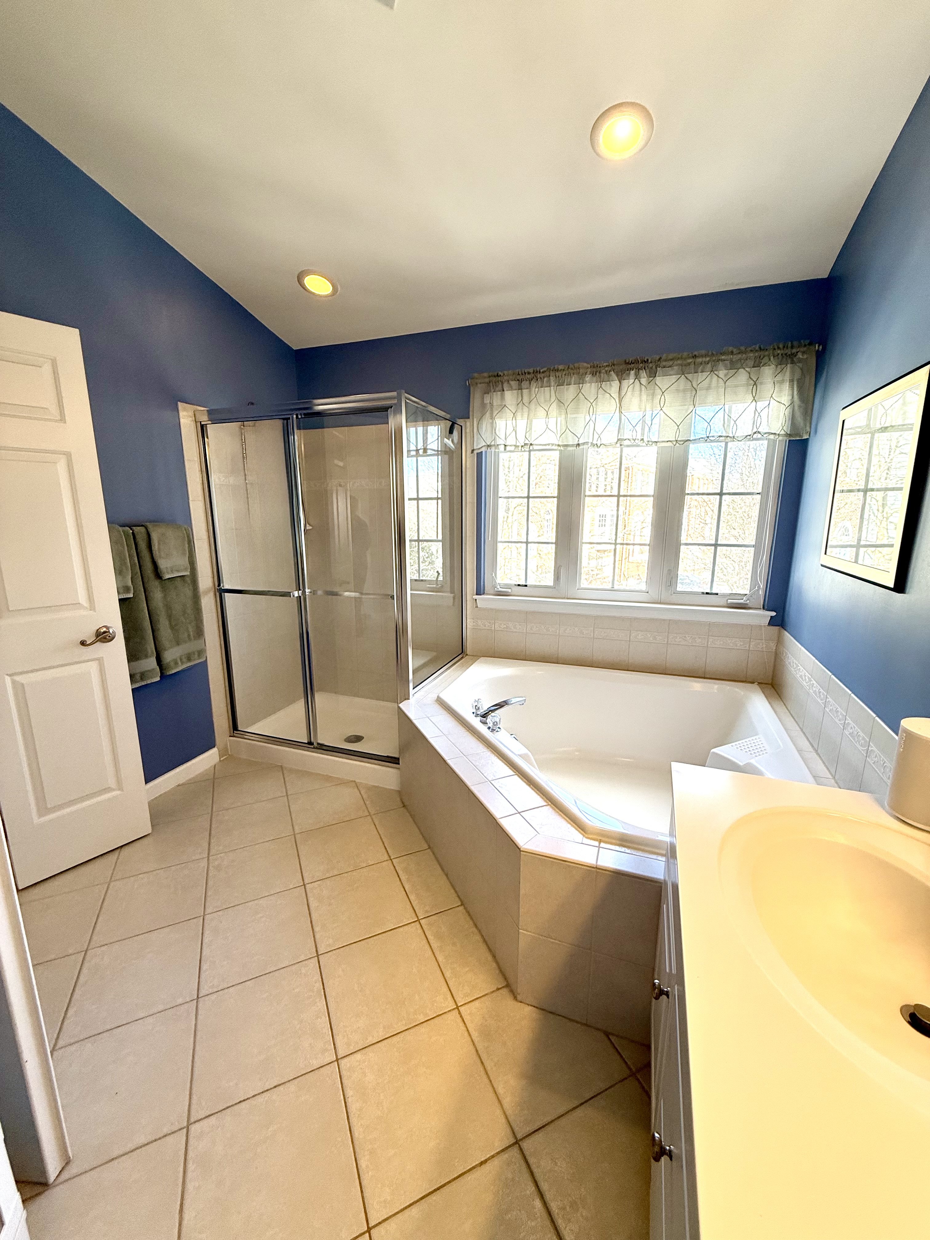 Address Upon Request Leesburg, VA 20176 - Photo 41 of 55 a spacious bathroom with a tub sink and mirror