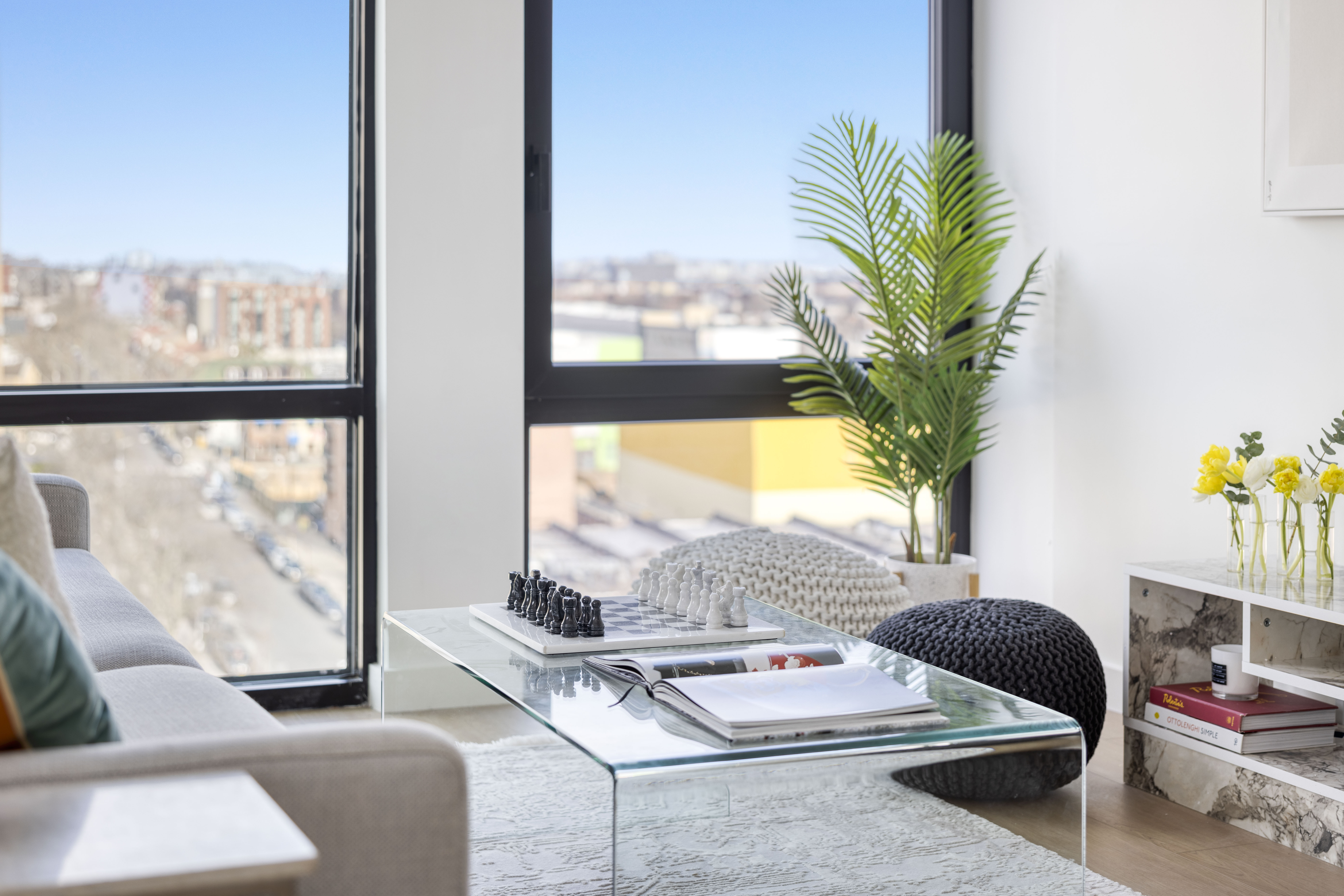 1 Sullivan Place, Unit 10D Brooklyn, NY 11225 - Photo 6 of 8 a living room with furniture and a potted plant