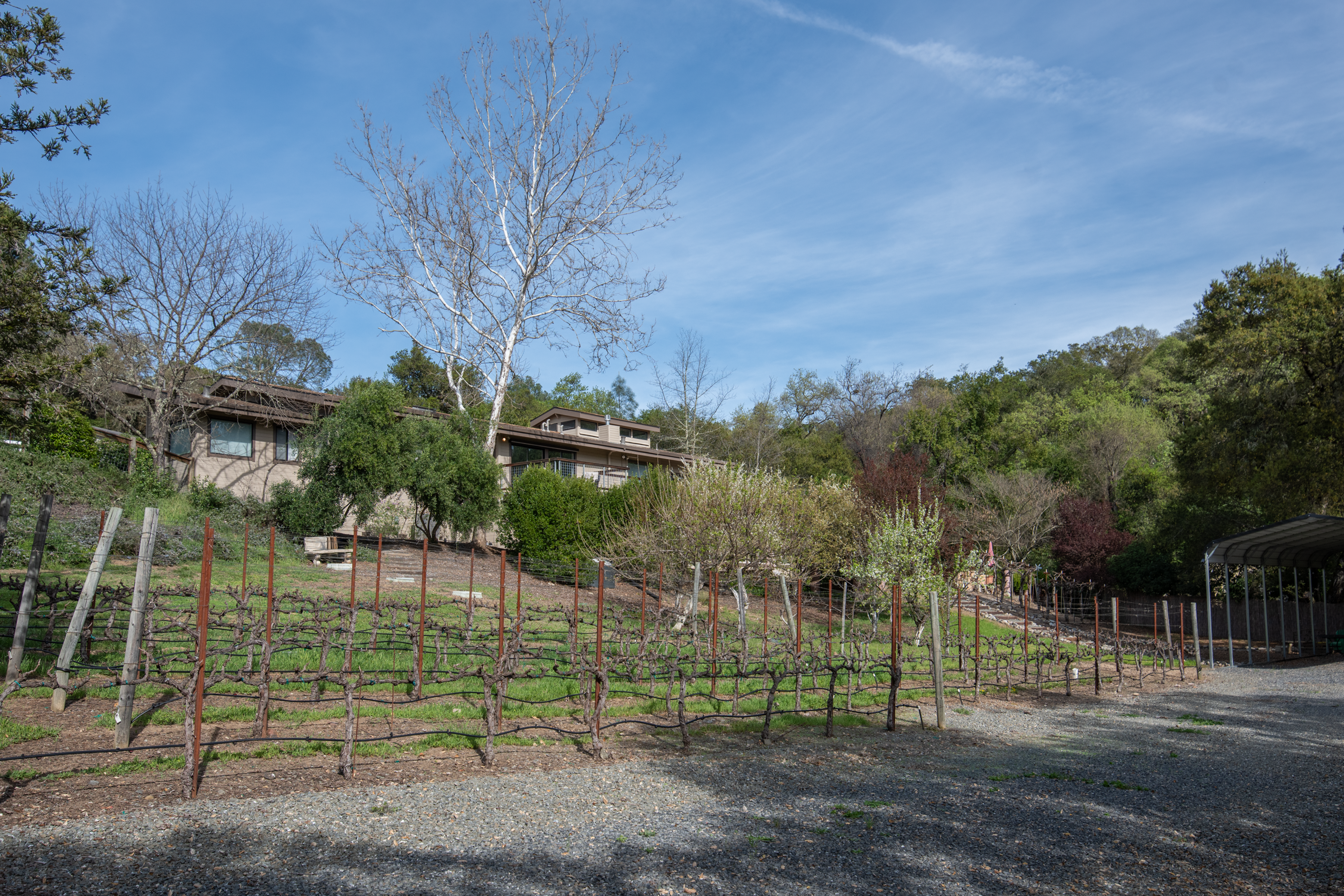 26828 River Road Cloverdale, CA 95425 - Photo 8 of 8