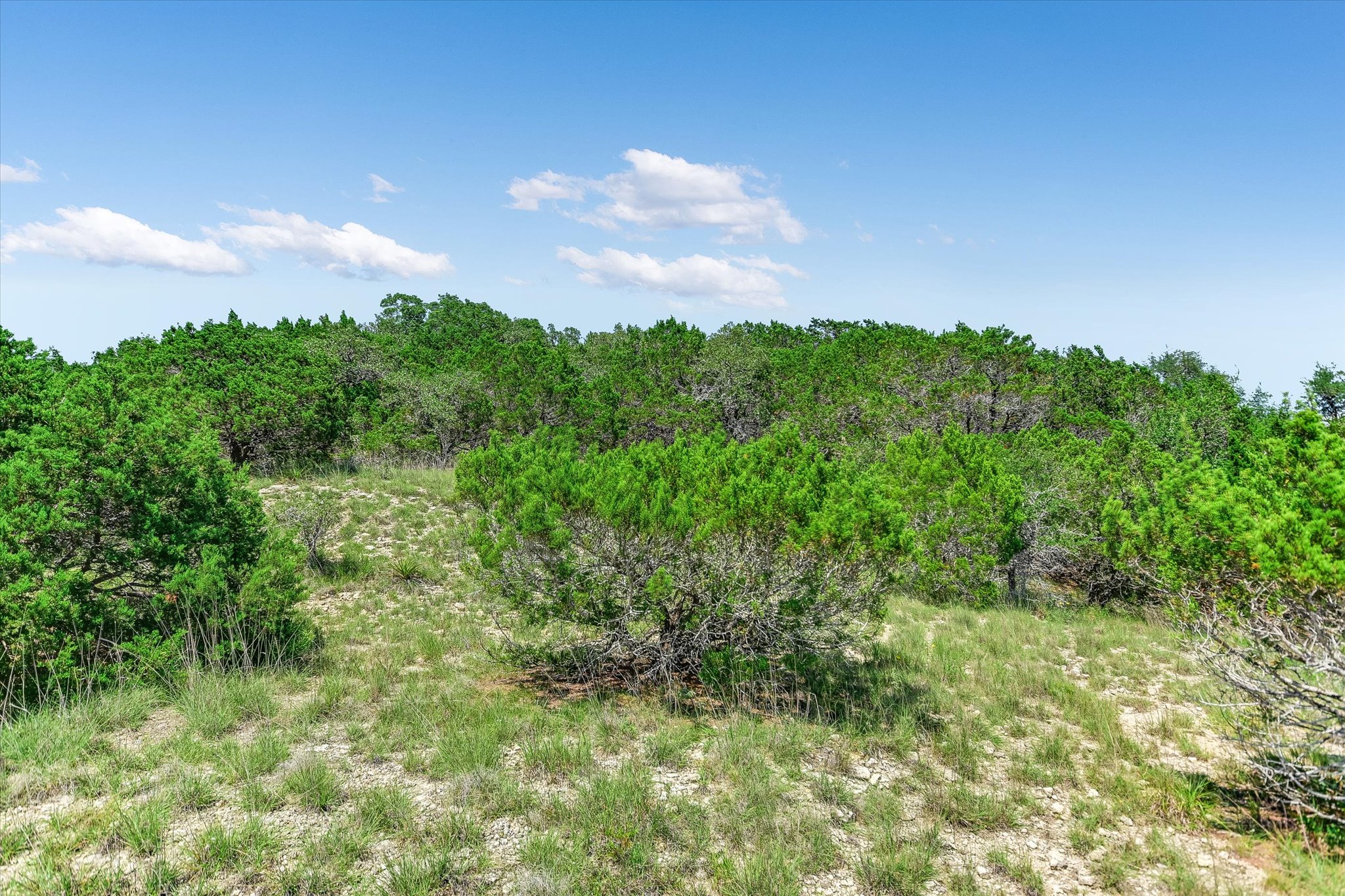 1363 Montell Road Wimberley, TX 78676 - Photo 26 of 35