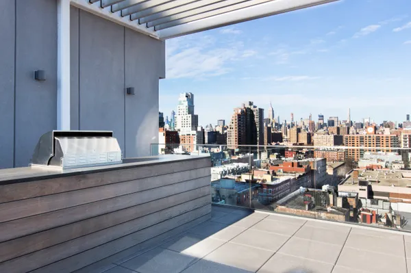 $30,000 | 100 Norfolk Street, Unit PH | Lower East Side