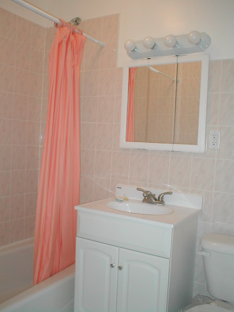 23-12 24th Avenue, Unit 1 Queens, NY 11102 - Photo 4 of 10 a bathroom with a sink and a mirror