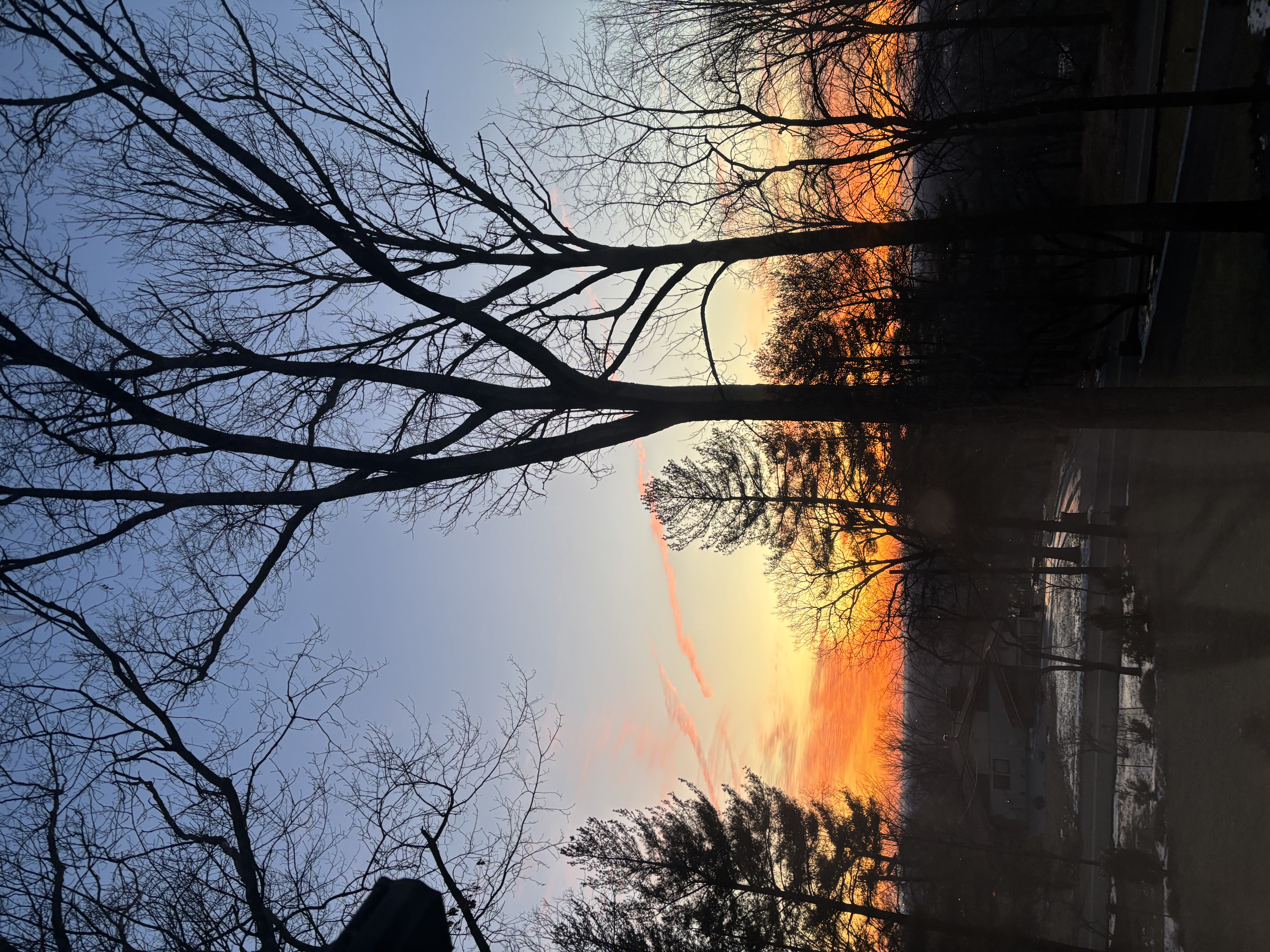 Johnston Drive Watchung, NJ 07069 - Photo 79 of 85 a view of mountain view with lots of trees