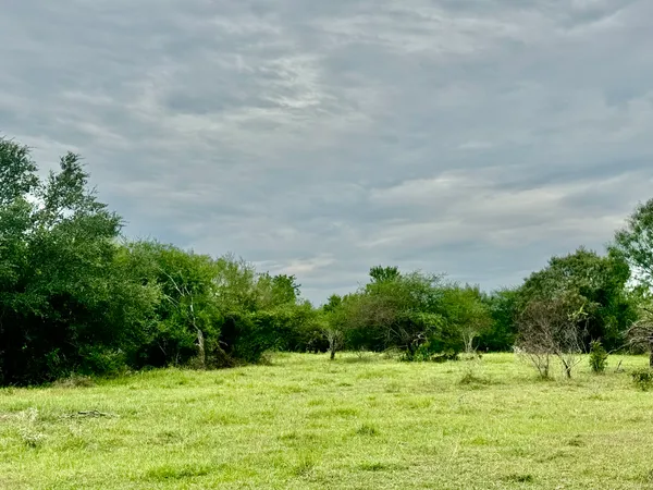 a view of a big yard with green space