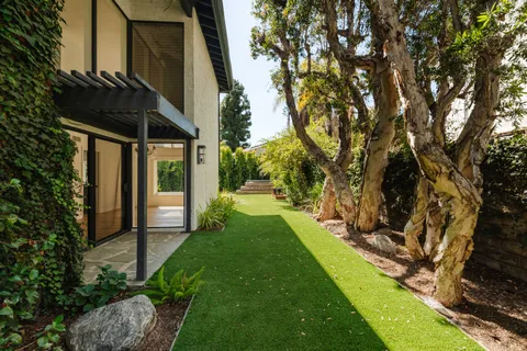 a view of a yard with plants and large trees