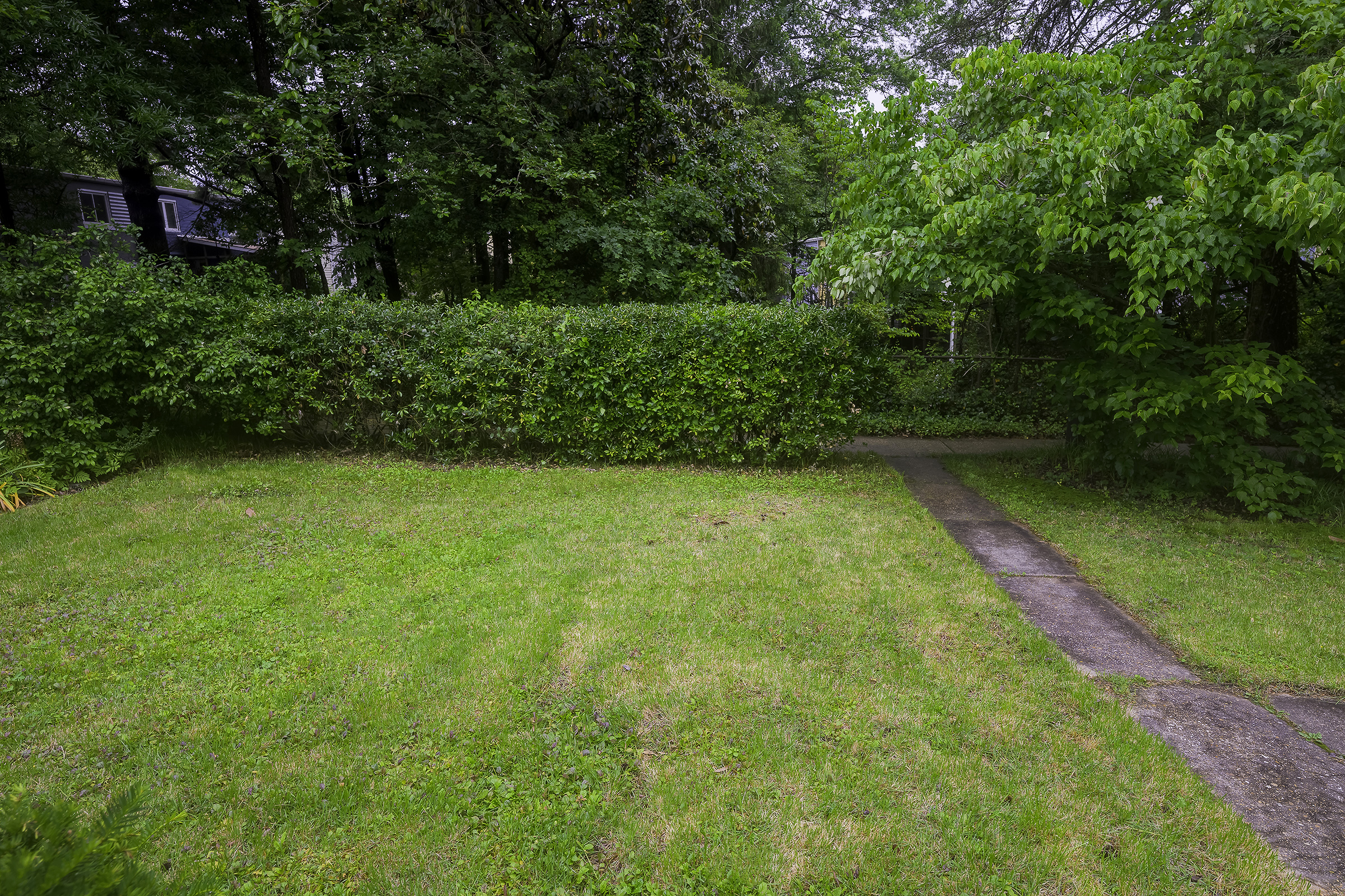 45 D Ridge Road Greenbelt, MD 20770 - Photo 34 of 35 a view of yard with green space