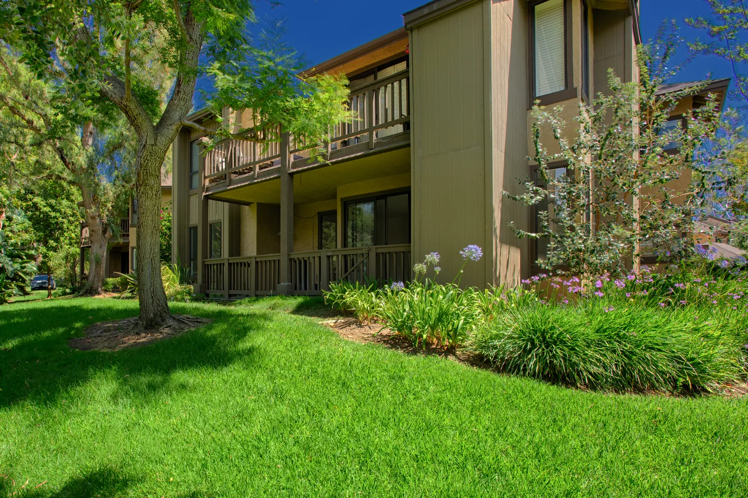 front view of a house with a garden