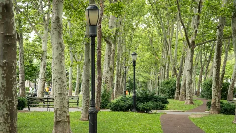 $3,350,000 | 37 Henry Street | Brooklyn Heights