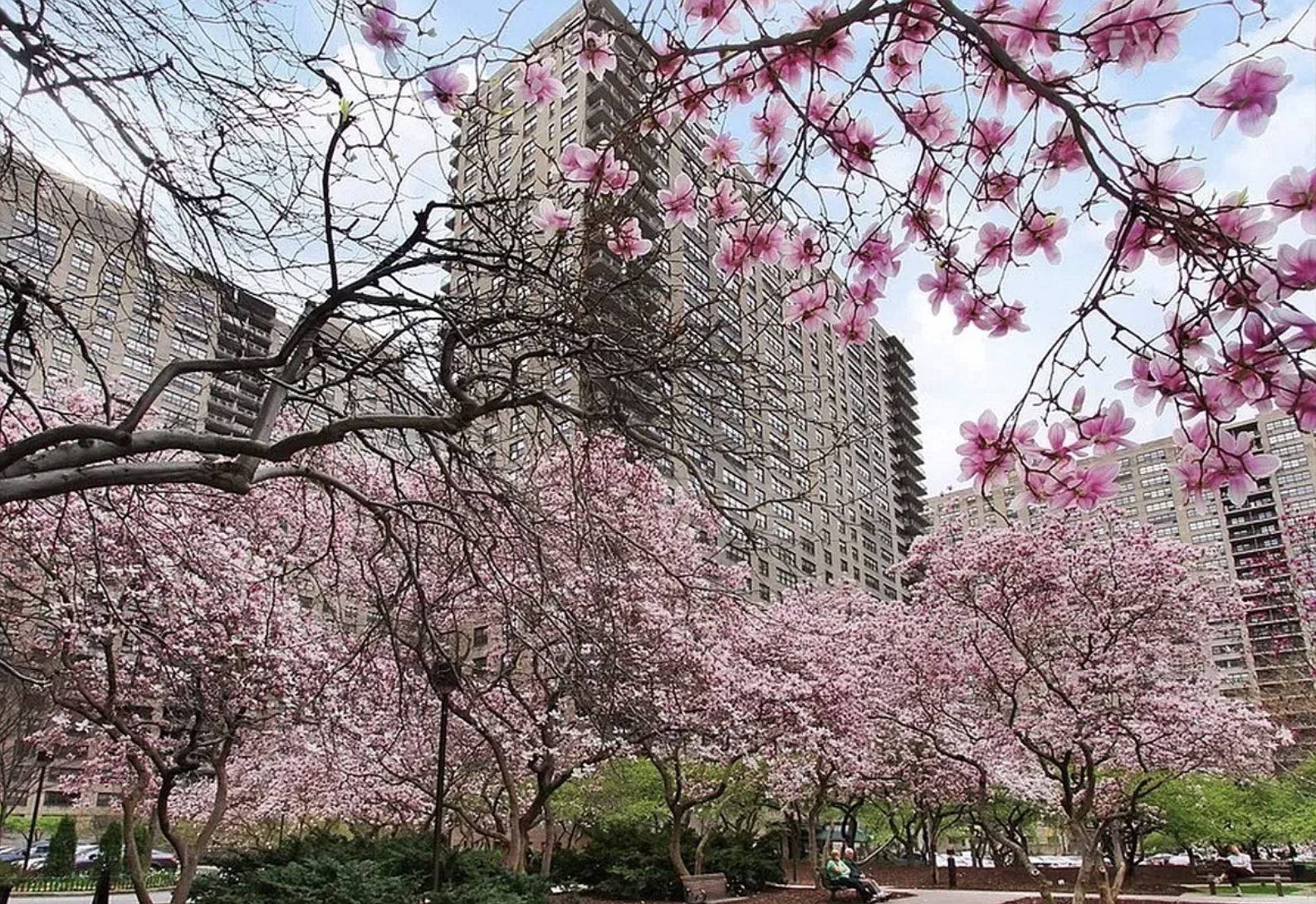 185 West End Avenue, Unit 26J Manhattan, NY 10023 - Photo 14 of 18 a backyard of a house with lots of green space