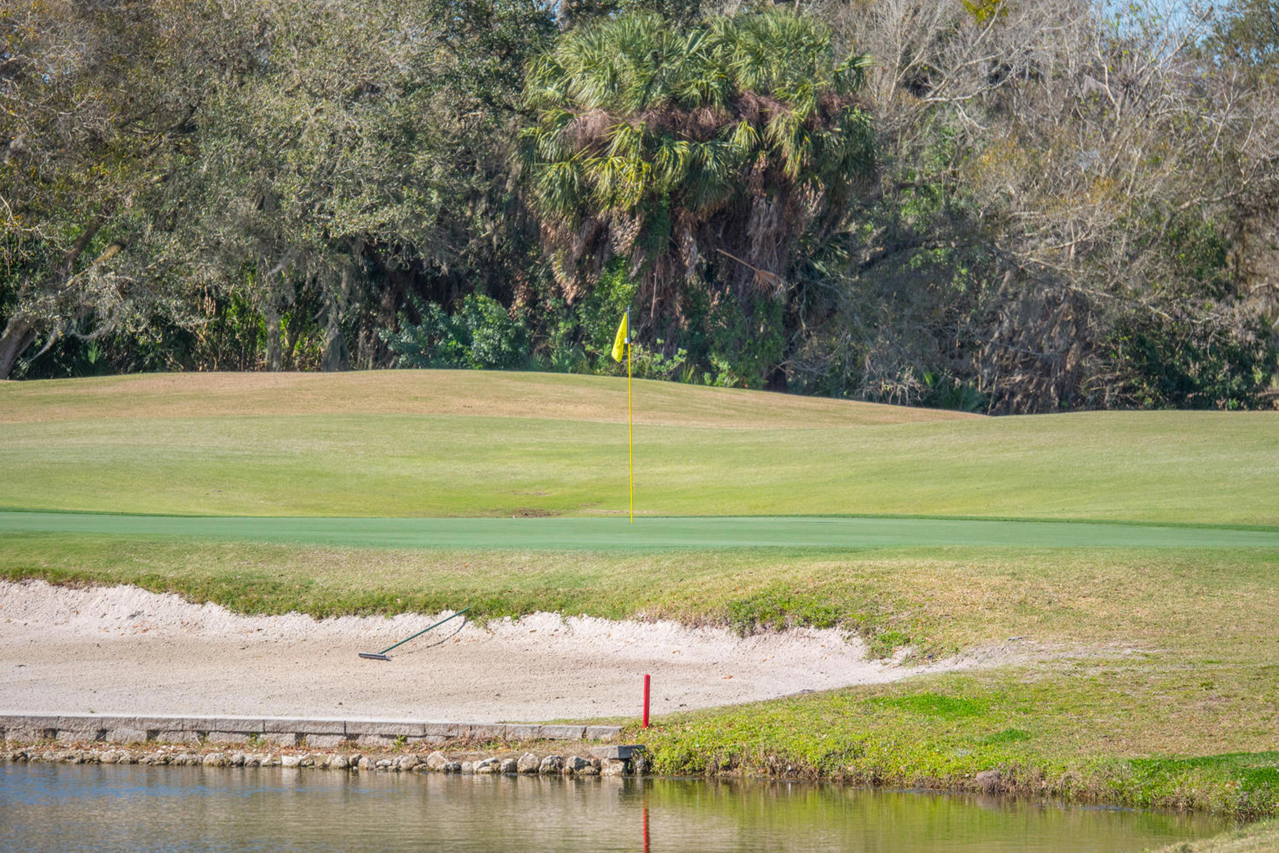 11908 Oak Ridge Drive Parrish, FL 34219 - Photo 53 of 66