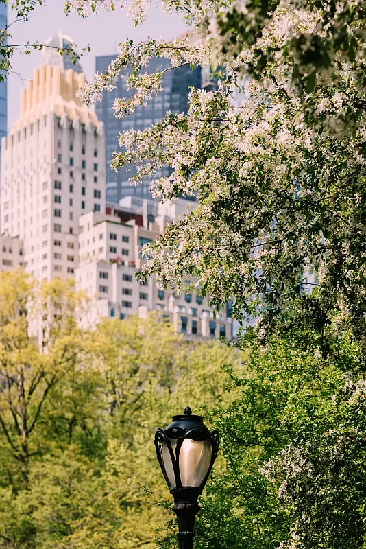 a picture of a book and a bed