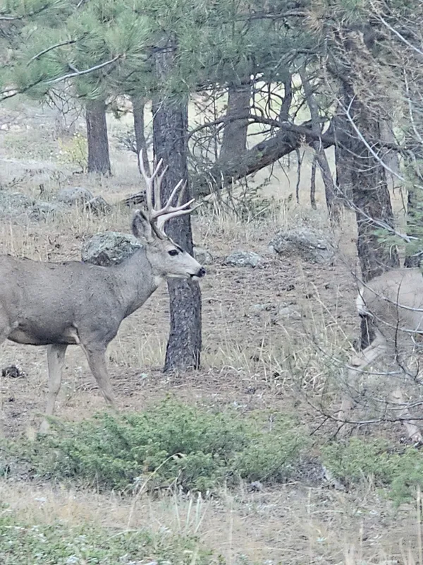 $2,100,000 | 323 Overlook Lane, Boulder, CO 80302