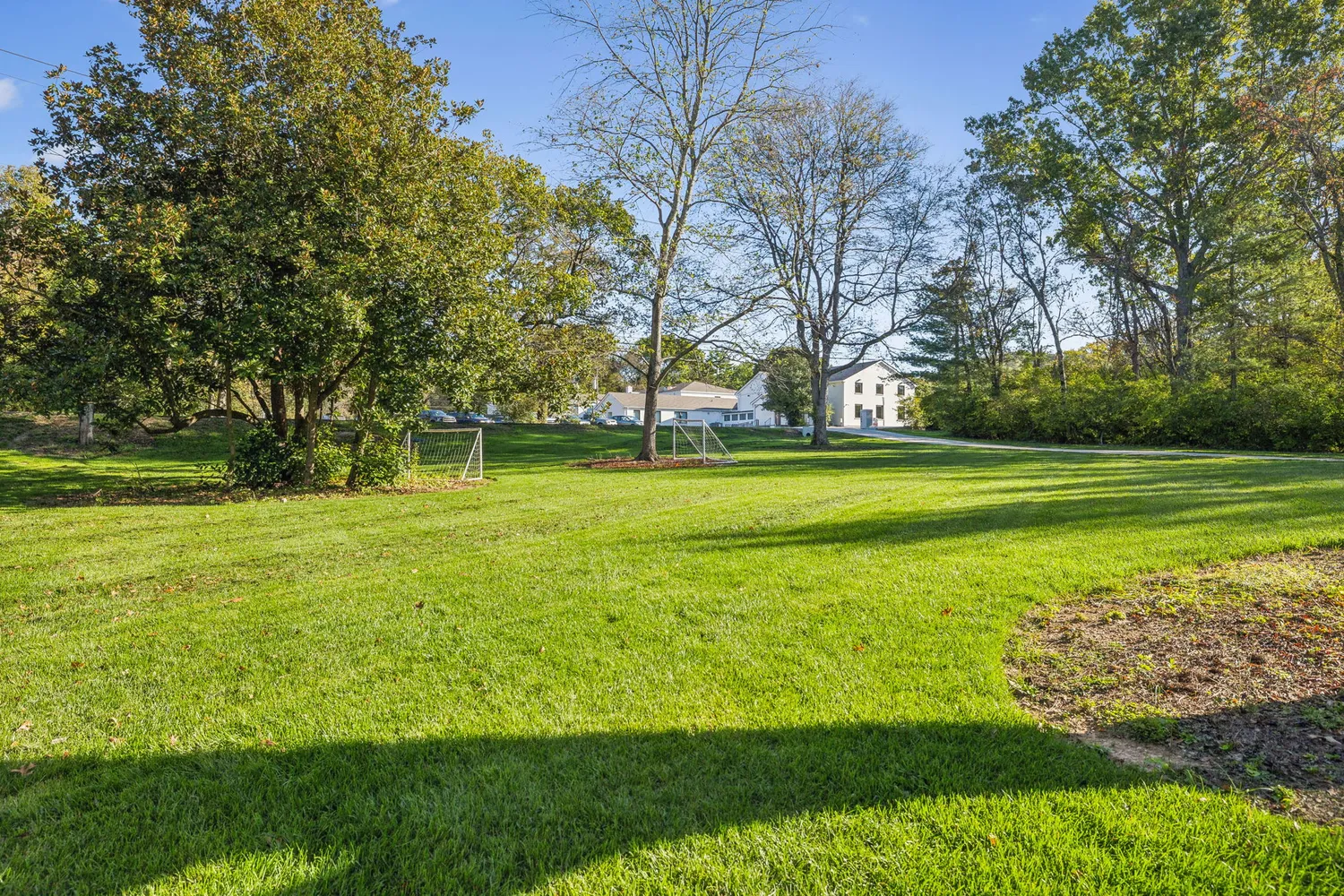 a view of a big yard with large trees