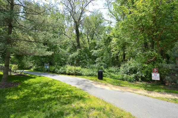a view of a yard with a trees