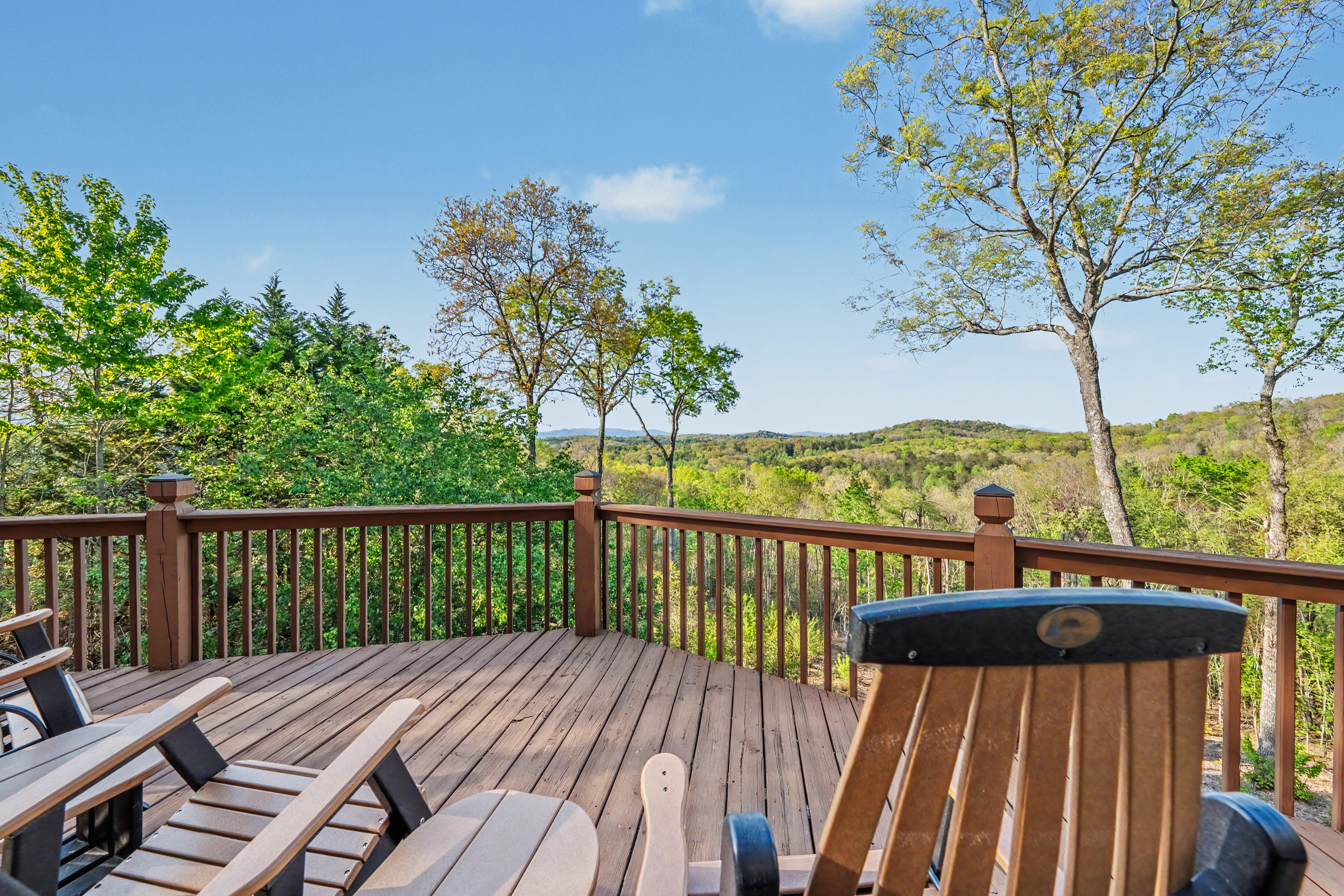 431 Sunrock Mountain Trace Blue Ridge, GA 30513 - Photo 4 of 4